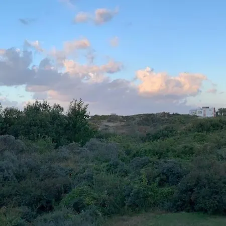 Darragh Met Duinenzicht Koksijde