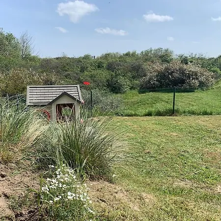 Darragh Met Duinenzicht Tatil Evi *