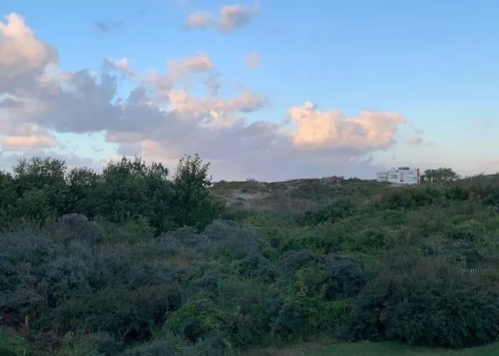 Darragh Met Duinenzicht كوكسيجدي