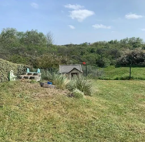 Darragh Met Duinenzicht